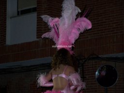Carnaval de Mula 2011